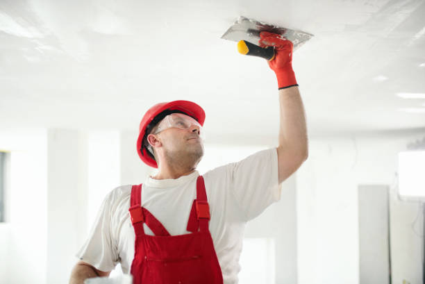 Best Trim and Molding Painting  in Brooksville, MS